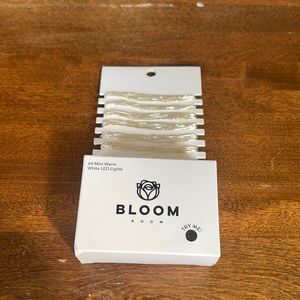 Bloom Room 60 ct LED Mini Silver Wire with Warm White String Lights